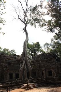 IMG_9144_R