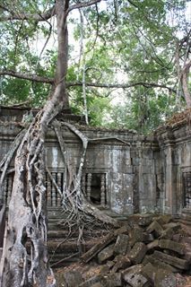 IMG_9445_R