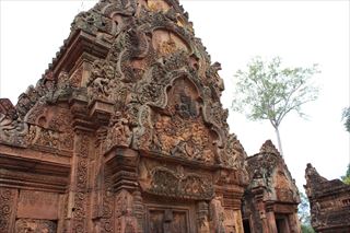 IMG_9833_R